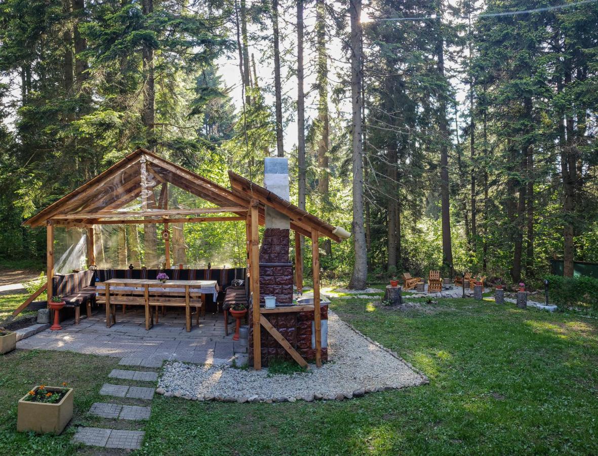 Guest Rooms- Klepalski House Borovets Eksteriør bilde